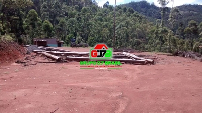 Terreno, 4 hectares - Foto 4