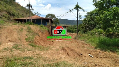 Chácara, 3 quartos, 1000 m² - Foto 4