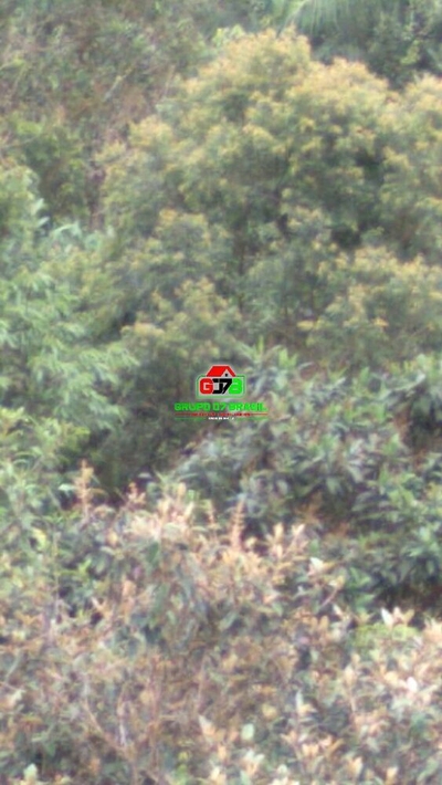 Terreno, 2 m² - Foto 2