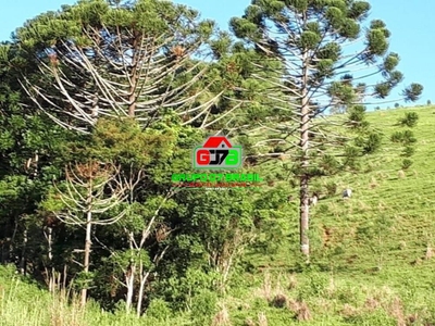 Sítio, 2 quartos, 80 m² - Foto 2