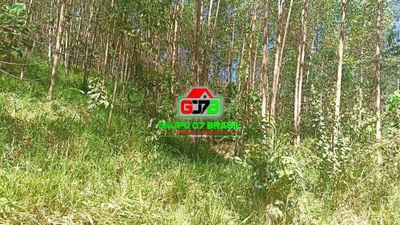 Terreno, 10 m² - Foto 2