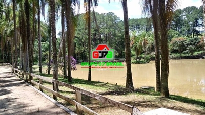 Terreno, 49 hectares - Foto 2