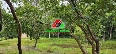 Terreno, 23 m² - Foto 4