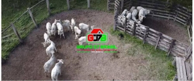 Terreno, 300 m² - Foto 1