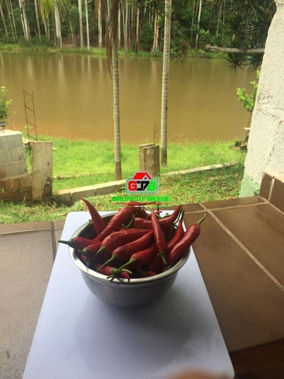 Sítio, 4 quartos, 2 m² - Foto 1