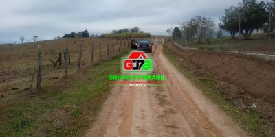 Terreno, 5 hectares - Foto 4