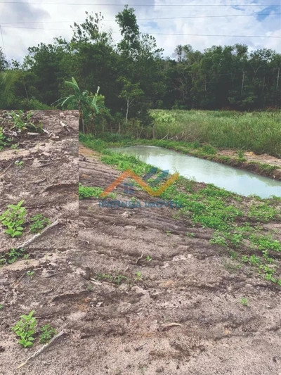 Prédio Inteiro, 5000 m² - Foto 4