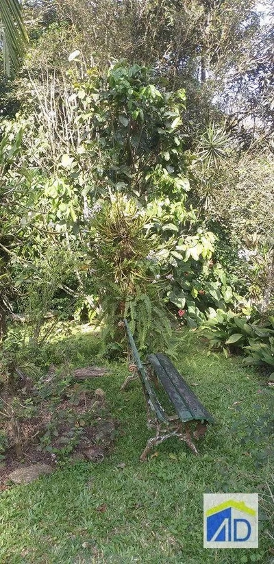 Sítio, 4 quartos, 2600 m² - Foto 4