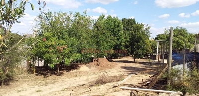 Chácara, 2 quartos - Foto 4