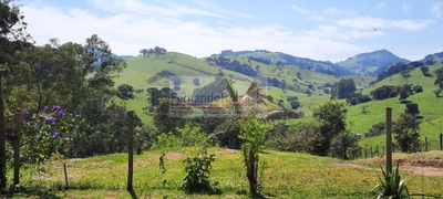 Sítio, 2 hectares - Foto 3