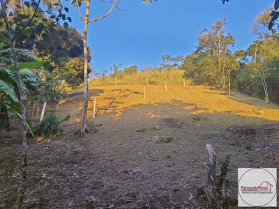 Terreno, 9 hectares - Foto 4
