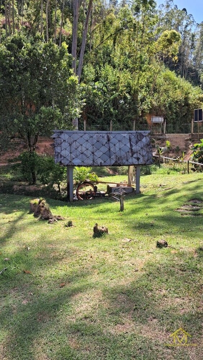 Chácara, 4 quartos, 4000 m² - Foto 3