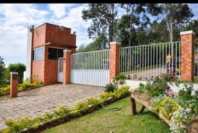 Terreno, 2473 m² - Foto 4