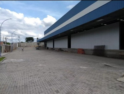 Depósito-Galpão, 6000 m² - Foto 3