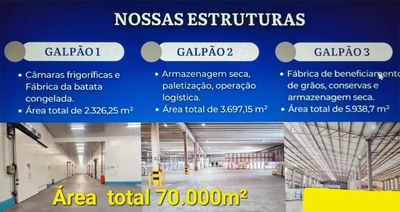 Depósito-Galpão, 15000 m² - Foto 3