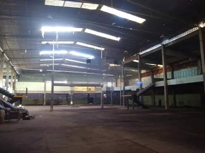 Depósito-Galpão, 5000 m² - Foto 2