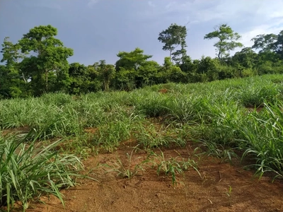 Terreno, 450 m² - Foto 4