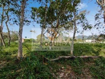 Terreno, 2 hectares - Foto 4