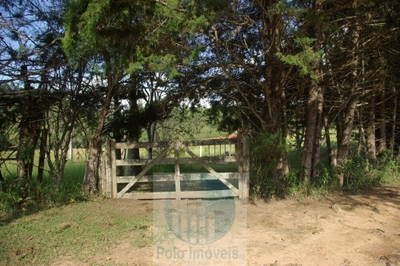 Sítio, 1 quarto, 10 m² - Foto 1