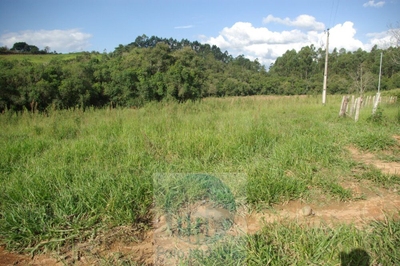 Sítio, 1 quarto, 10 m² - Foto 4