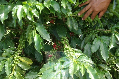 Fazenda-Sítio-Chácara, 58 m² - Foto 1