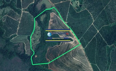 Sítio, 25 m² - Foto 1