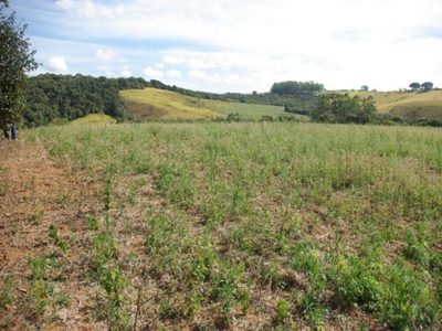 Sítio, 44 hectares - Foto 2