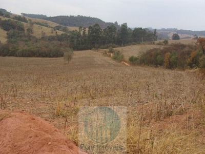 Sítio, 10 hectares - Foto 1