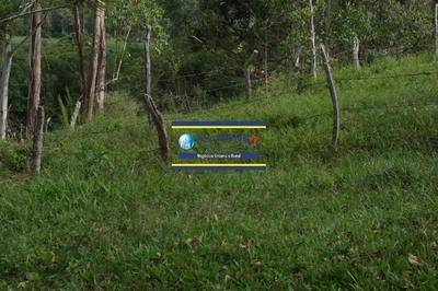 Sítio, 3 quartos, 14 m² - Foto 5