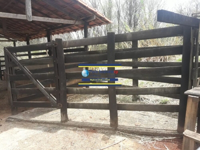 Sítio, 4 quartos, 7 m² - Foto 4