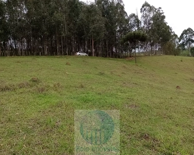 Sítio, 2 quartos, 150000 m² - Foto 1