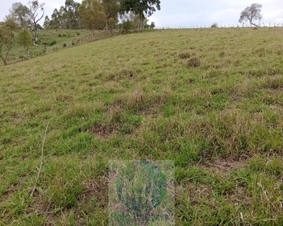 Sítio, 2 quartos, 150000 m² - Foto 4