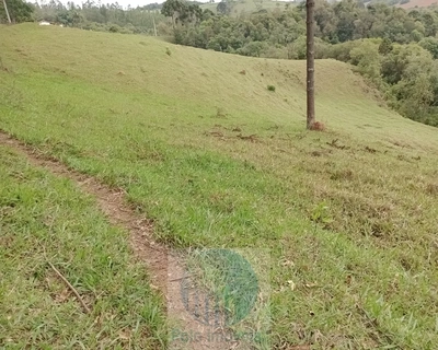 Sítio, 2 quartos, 150000 m² - Foto 2