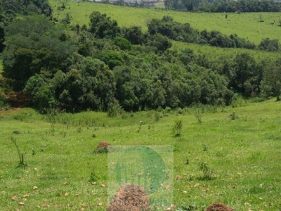 Fazenda-Sítio-Chácara, 169 hectares - Foto 3