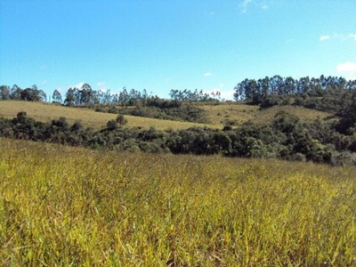 Sítio, 2 quartos, 27 hectares - Foto 1