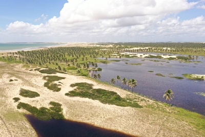 Terreno, 10000 m² - Foto 4