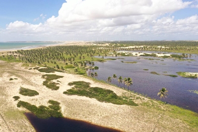 Terreno, 10000 m² - Foto 5