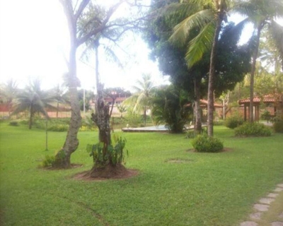 Sítio, 3 quartos, 6500 m² - Foto 2