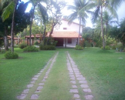 Sítio, 3 quartos, 6500 m² - Foto 1