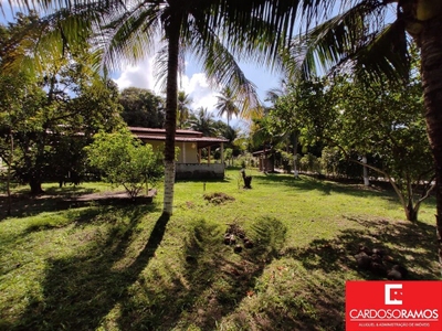 Sítio, 4 hectares - Foto 4