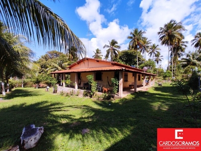 Sítio, 4 hectares - Foto 2