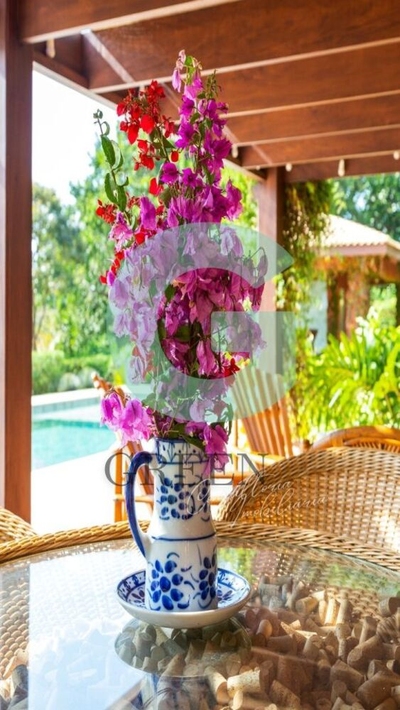 Casa, 6 quartos, 830 m² - Foto 4