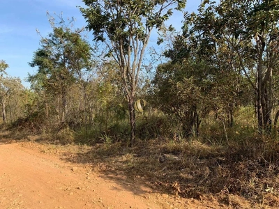 Terreno, 5000 m² - Foto 1