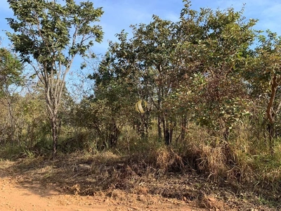 Terreno, 5000 m² - Foto 3