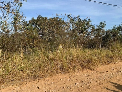 Terreno, 5000 m² - Foto 2