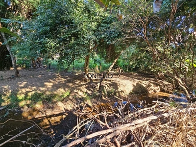 Chácara, 3 quartos, 3840 m² - Foto 4