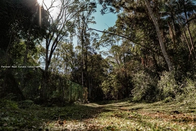 Casa, 3 quartos, 790000 m² - Foto 4