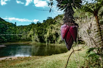 Casa, 3 quartos, 790000 m² - Foto 2