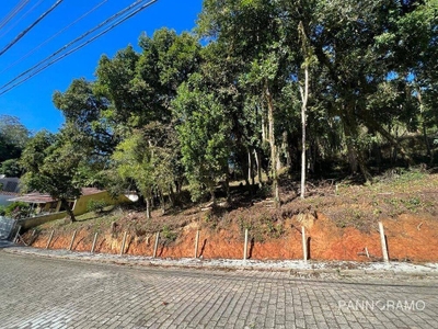 Terreno, 375 m² - Foto 4