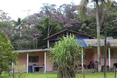 Chácara, 4 quartos, 5 hectares - Foto 3